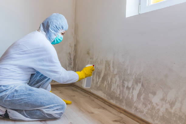 Mold Remediation specialist working in Brutus